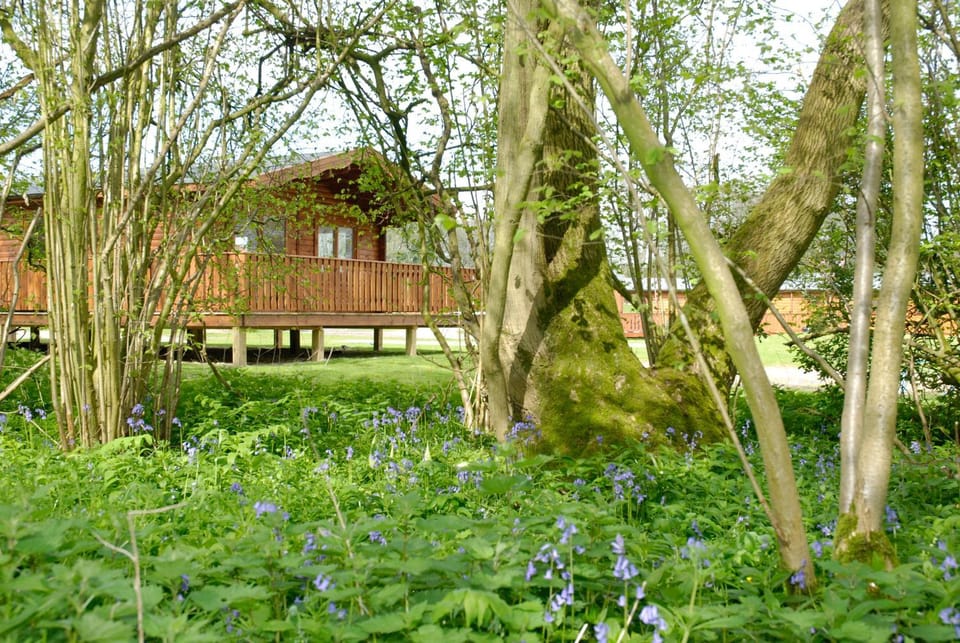 South Winchester Lodges Nature lodge in Winchester