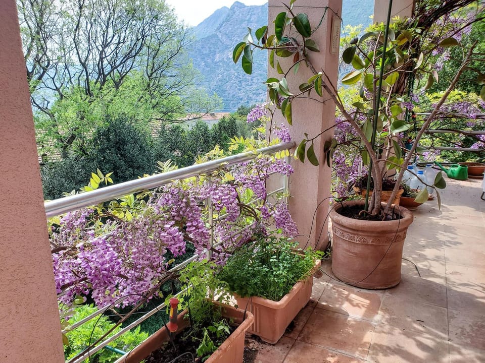 Property building, Bird's eye view, View (from property/room), Balcony/Terrace, Balcony/Terrace, Garden view, Mountain view, Sea view