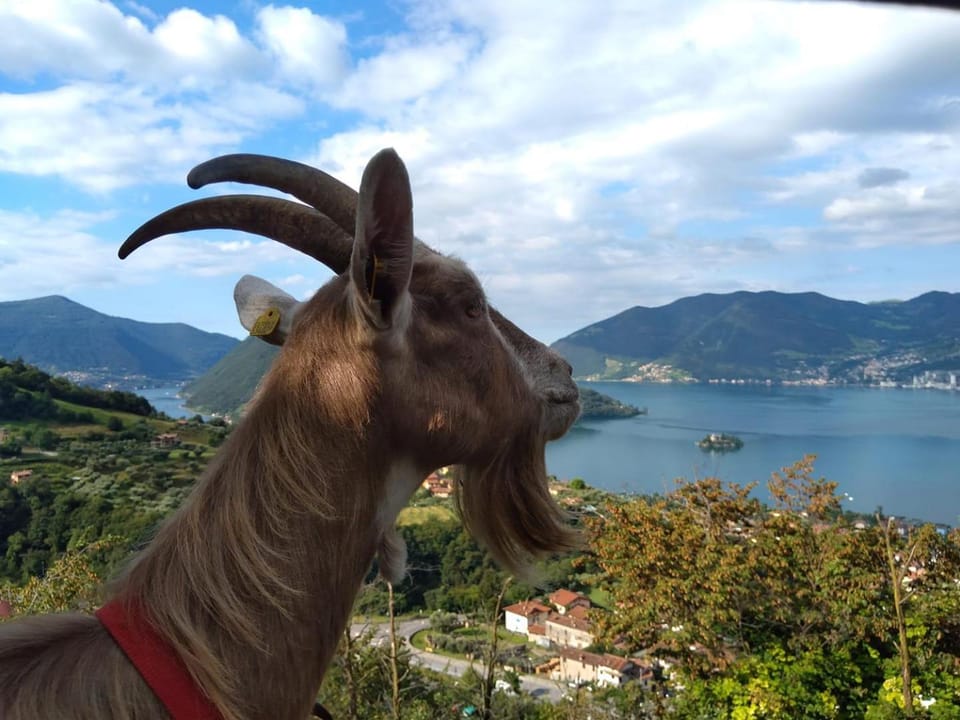 Natural landscape, Lake view