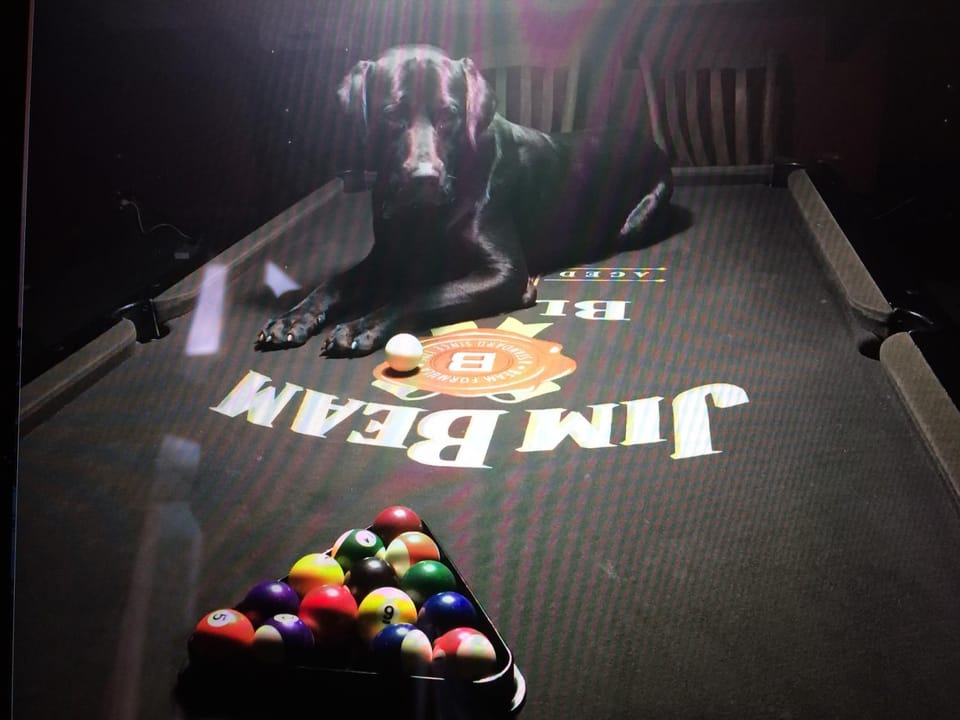 Evening entertainment, pet friendly