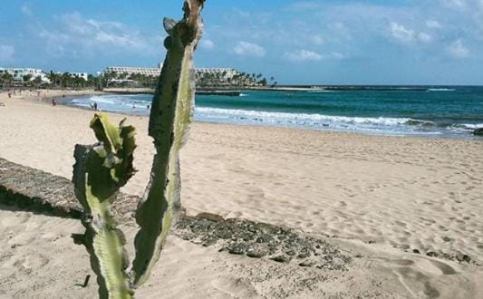 Beach