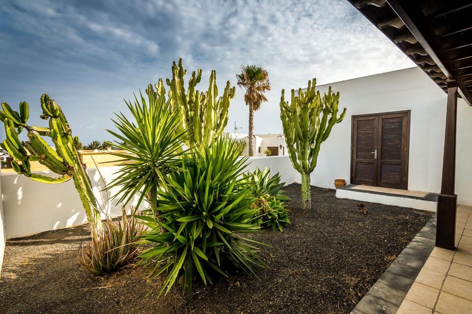 Patio, Garden, Balcony/Terrace