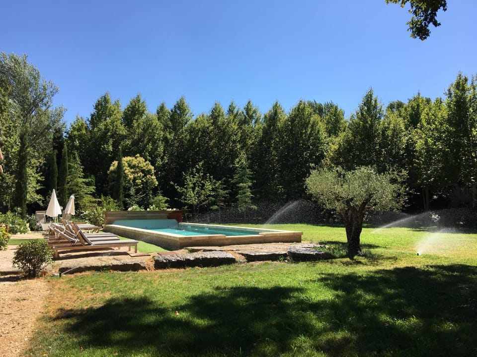 Garden, Garden view, Swimming pool, Swimming pool