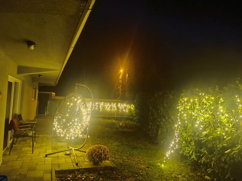 Night, Garden
