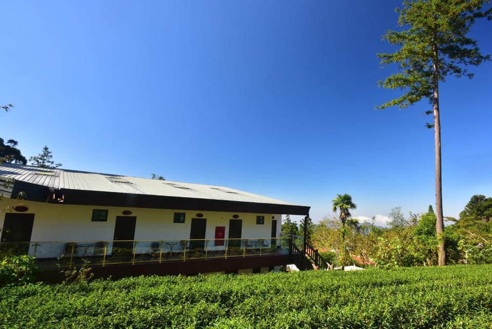 Property building, Day, Garden, Mountain view
