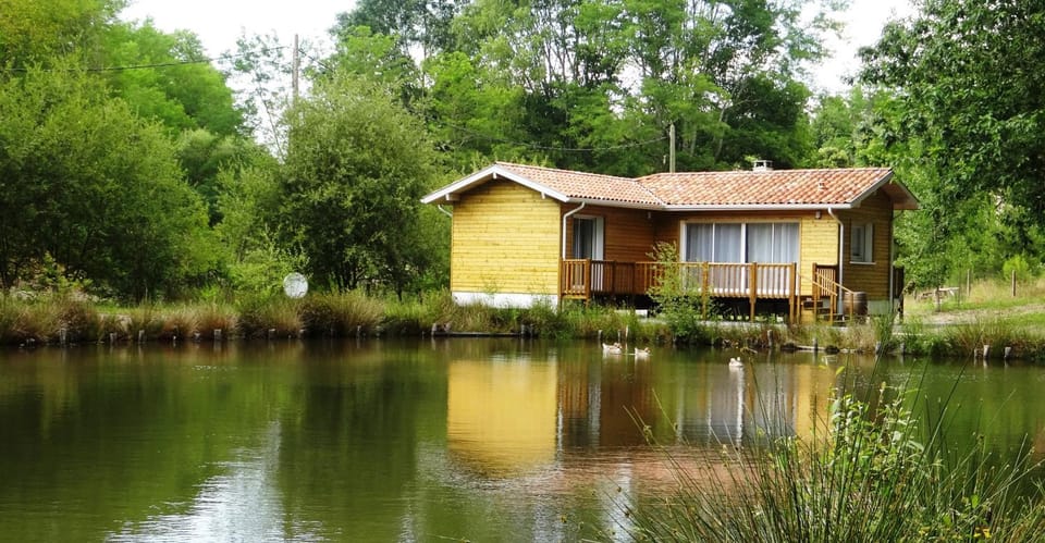 Natural landscape, Lake view