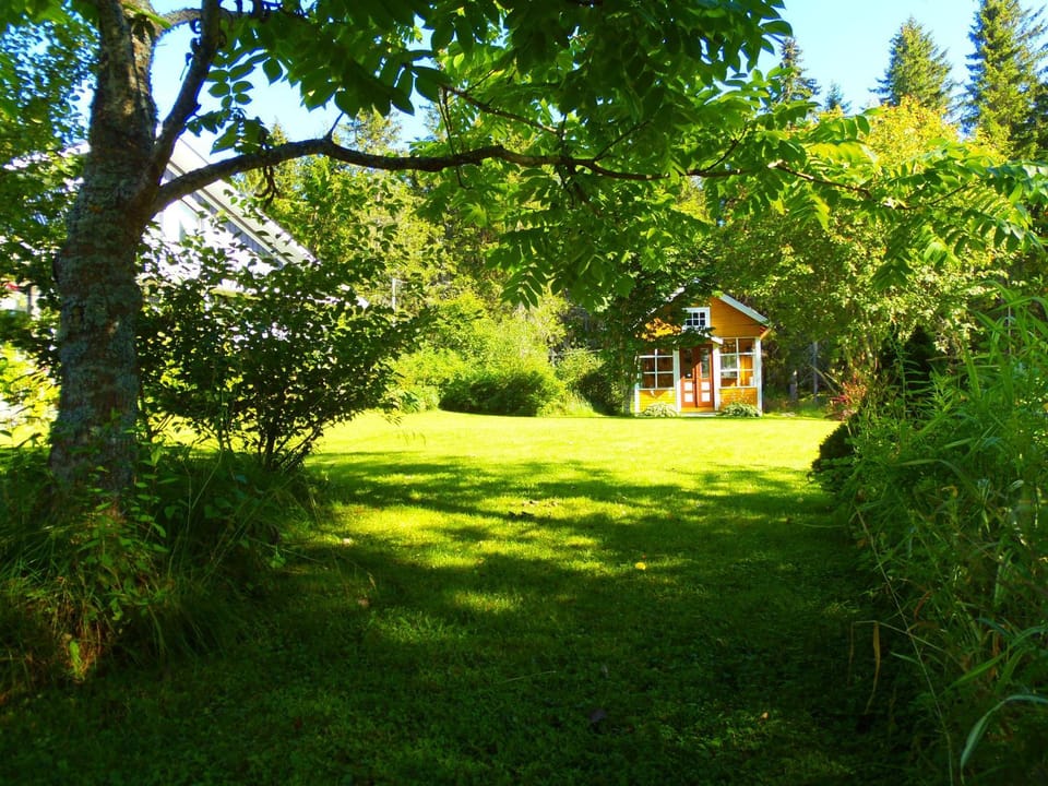 Neighbourhood, Garden, Garden view