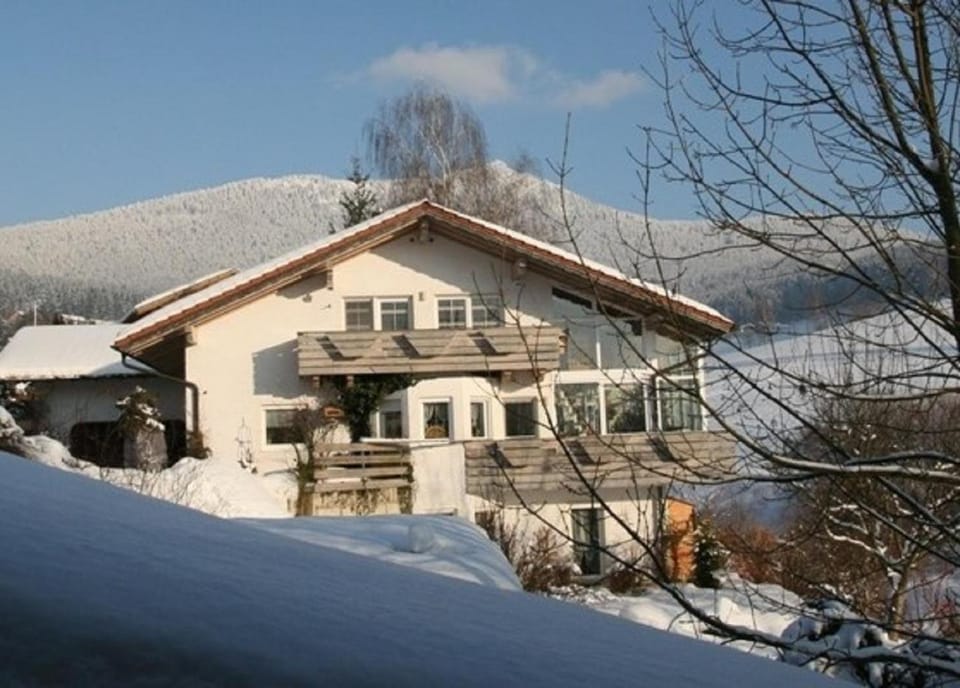 Property building, Winter