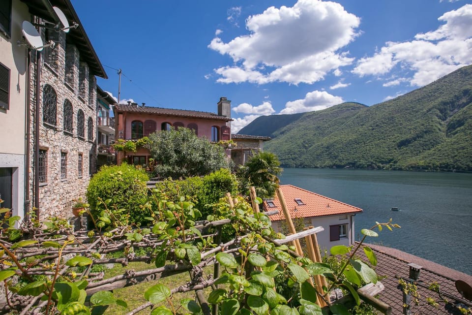 Lake view