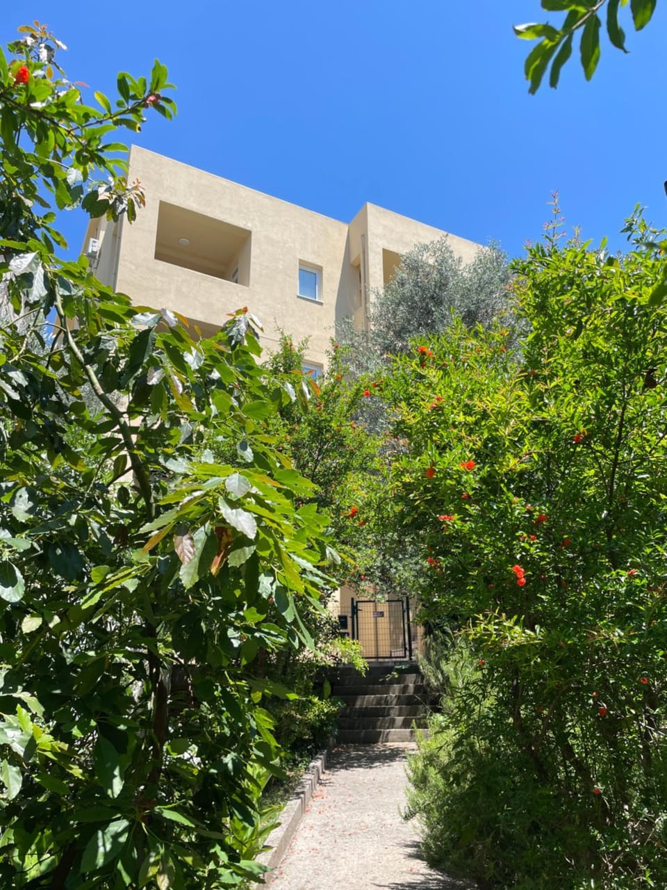 Property building, Natural landscape