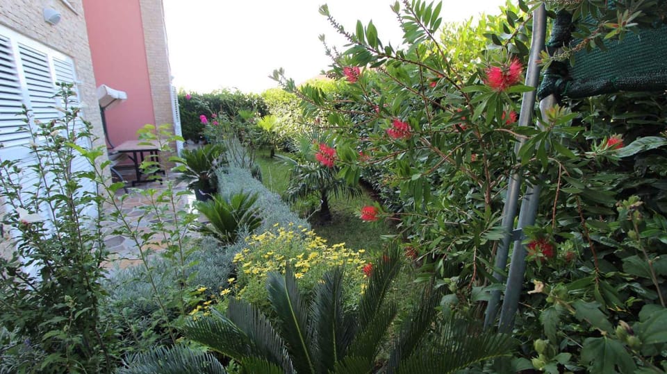 Summer, Garden