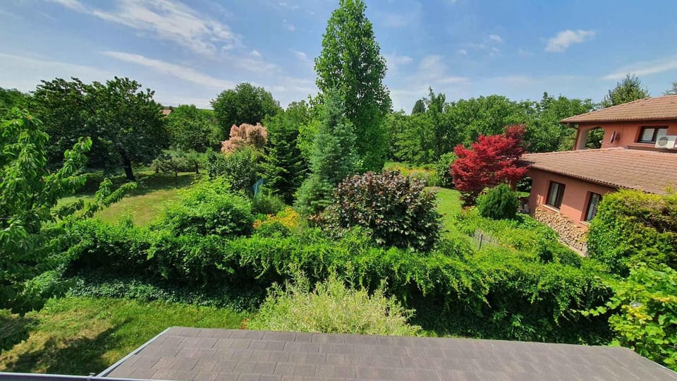 Summer, Garden