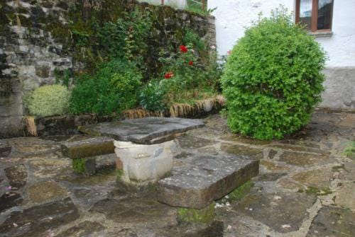 Day, Garden