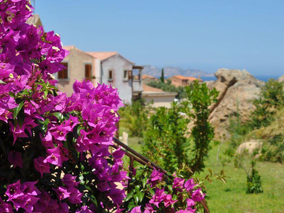 Property building, Garden view, Sea view