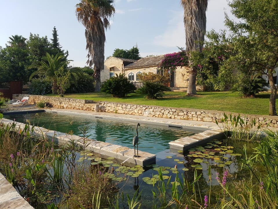 Pool view
