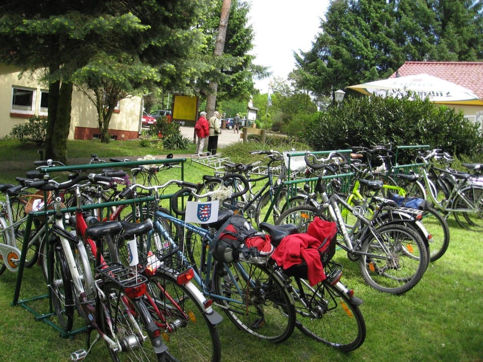 Spring, Day, Activities, On site