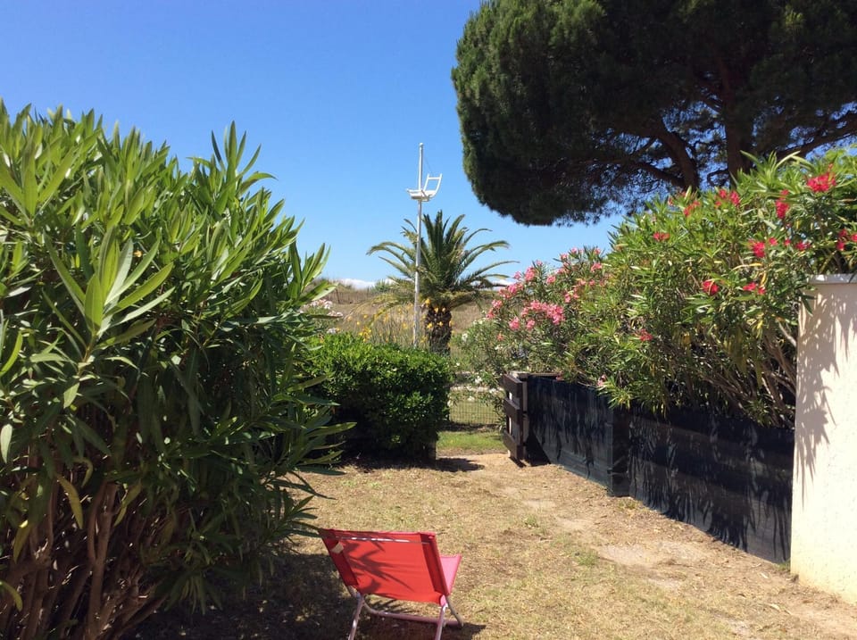 Garden, Garden