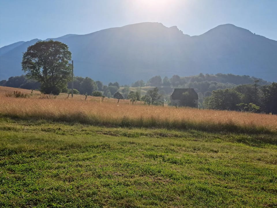 Wolf Apartment Apartment in Montenegro