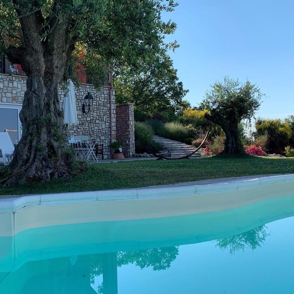 Swimming pool, Swimming pool