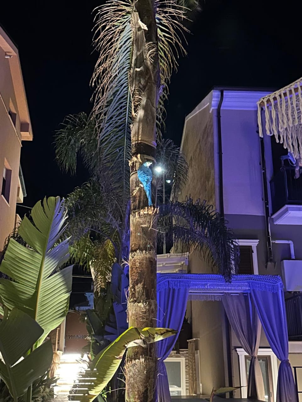 Property building, Night