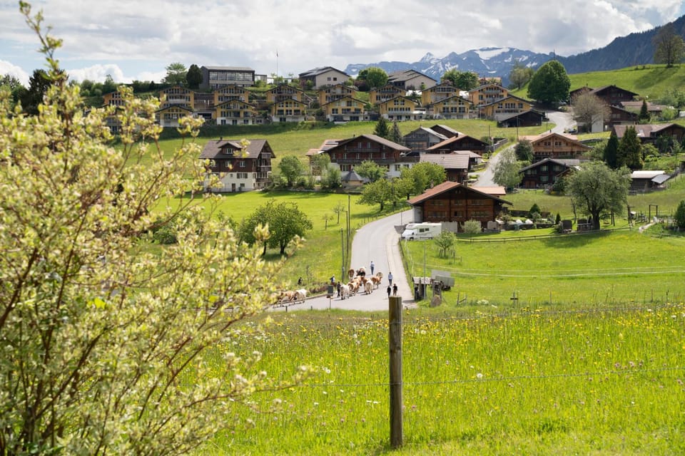 Property building, Nearby landmark, Spring, Day, Natural landscape, City view, Mountain view