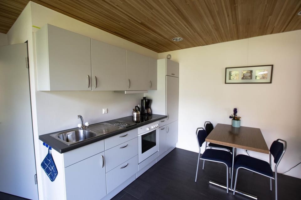 Kitchen or kitchenette, Seating area, Dining area