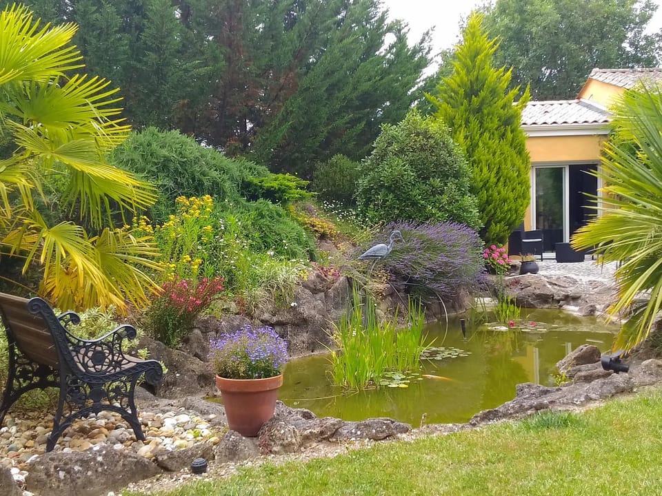 Garden view