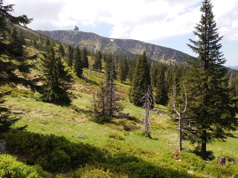 Hiking