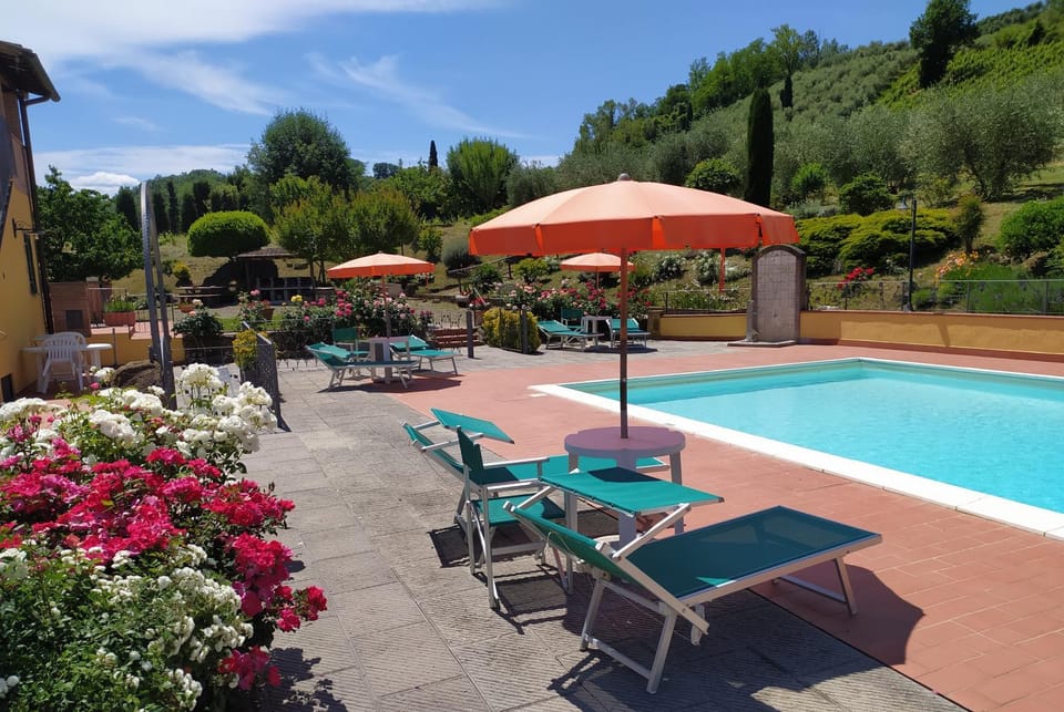 Garden, Pool view, Swimming pool