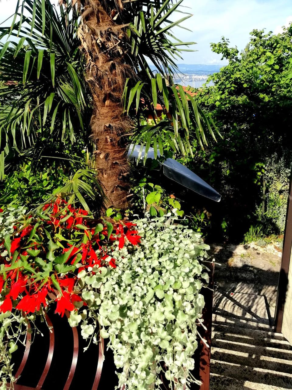 Garden view