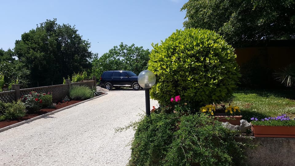 Patio, Garden