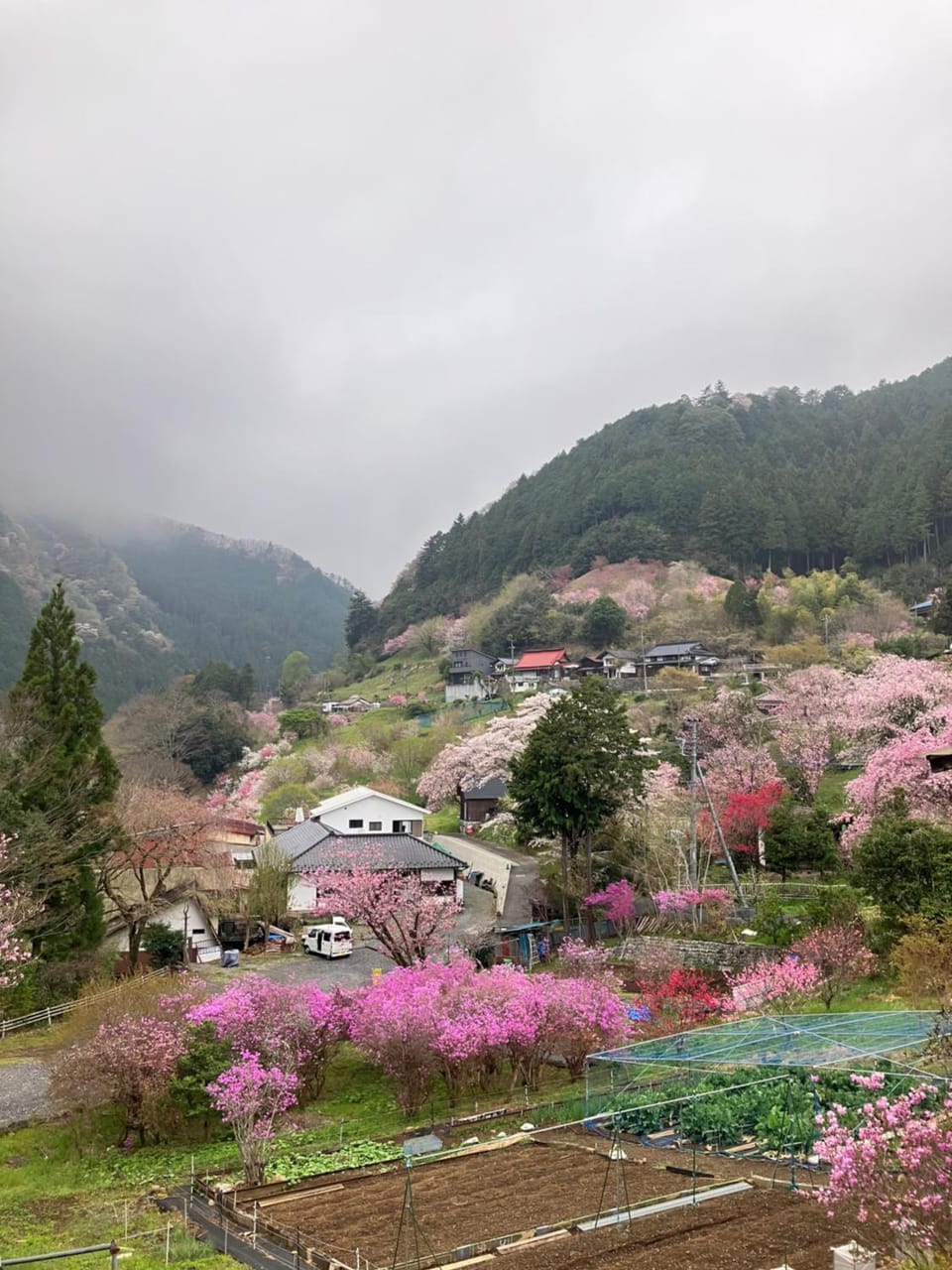 Otsu Nature Garden Bed and Breakfast in Tokyo Prefecture