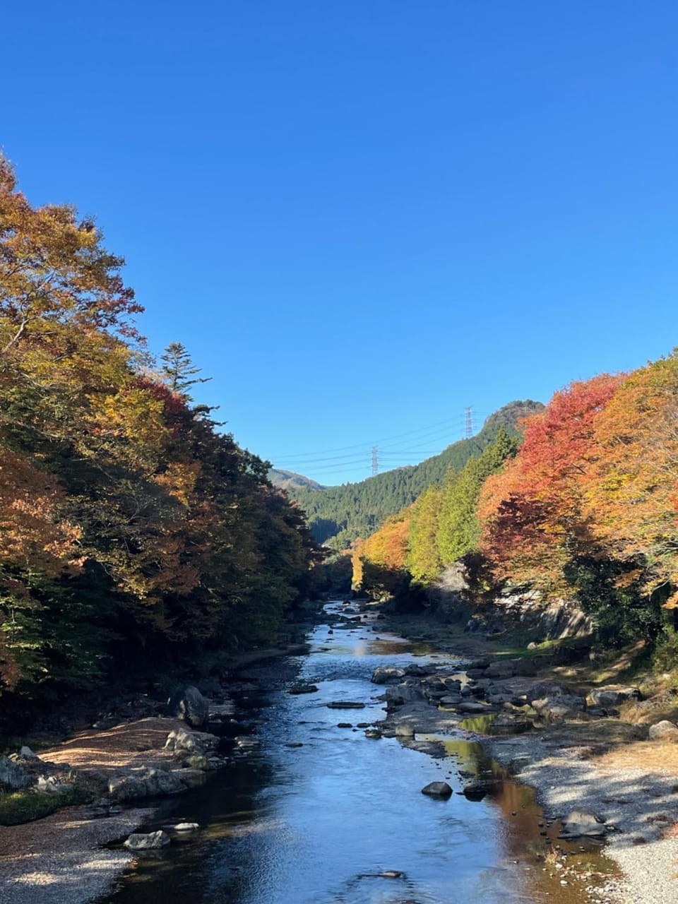 Otsu Nature Garden Bed and Breakfast in Tokyo Prefecture