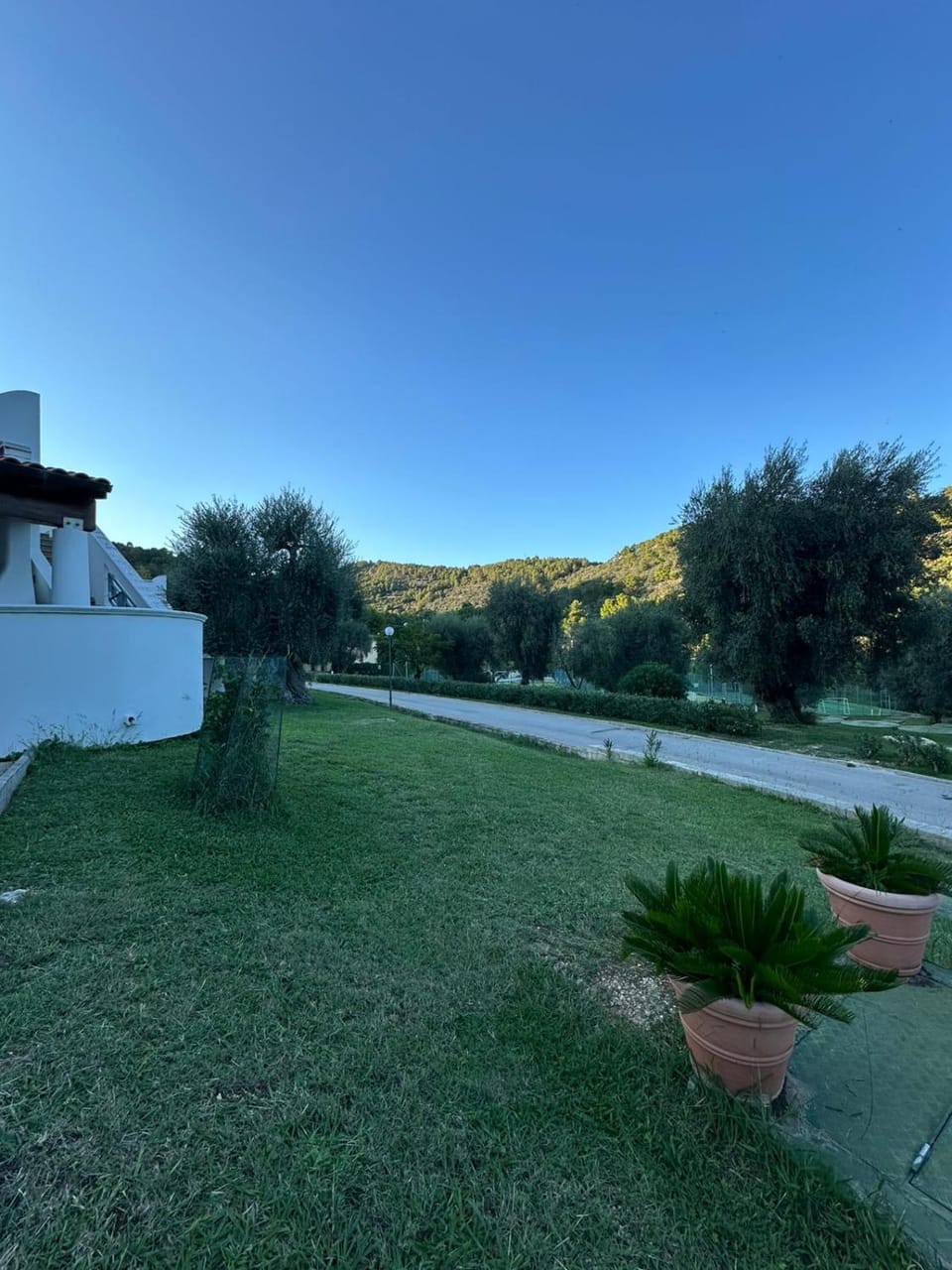 Property building, Natural landscape, Garden, Garden view