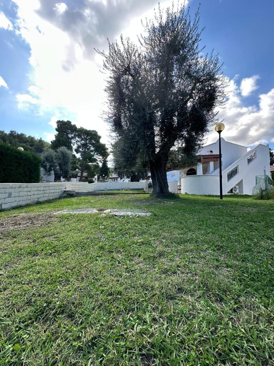 Natural landscape, Garden, Garden view
