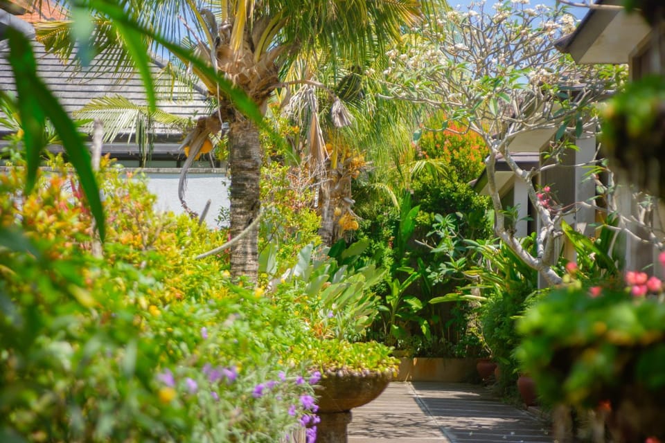 Day, Garden, Garden view