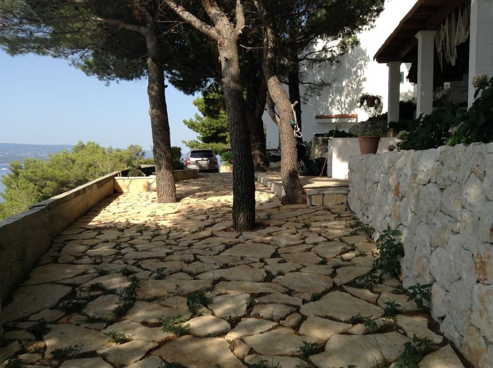 Patio, Garden