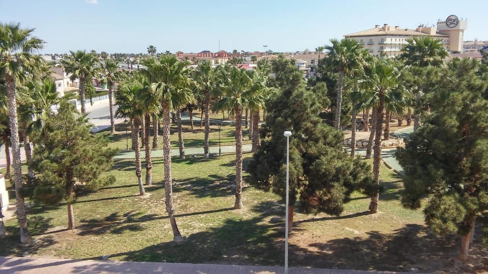 City view, Street view