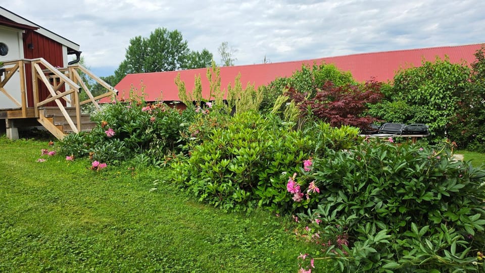 Kolmårdstorpet Blomsätter Nature lodge in Sweden
