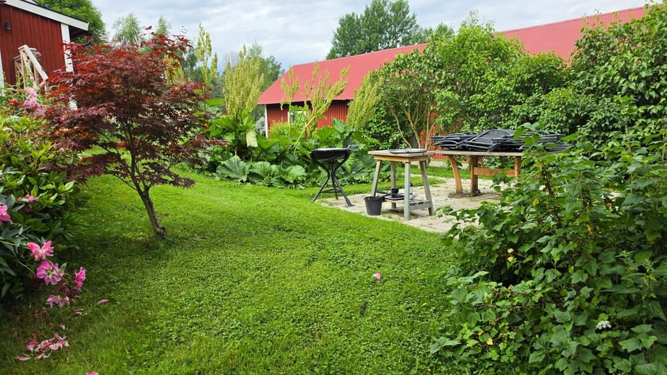 Kolmårdstorpet Blomsätter Nature lodge in Sweden