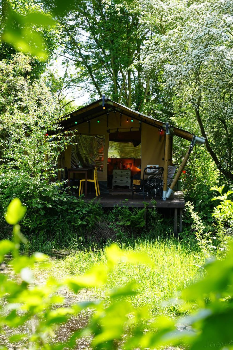 Eco Camping De Helleborus Campground/ 
RV Resort in Groningen