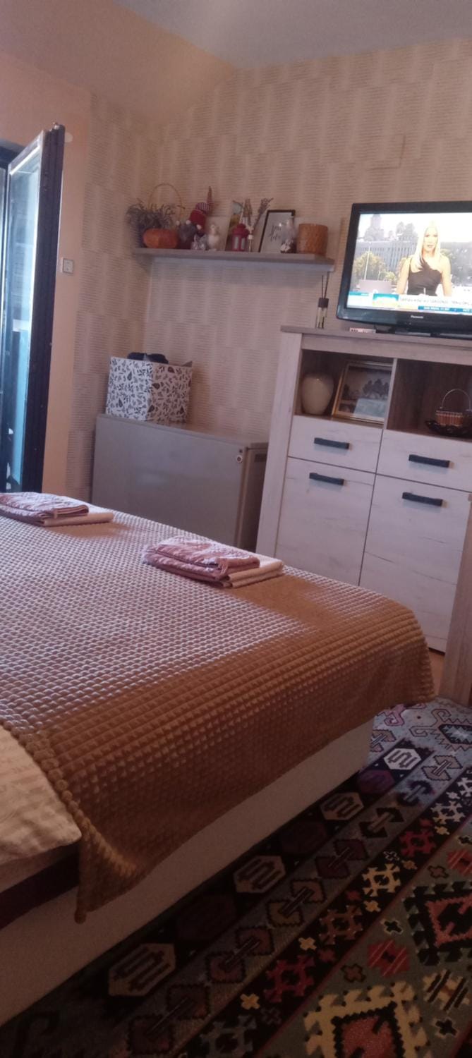 Apartment Andjela Apartment in Zlatibor