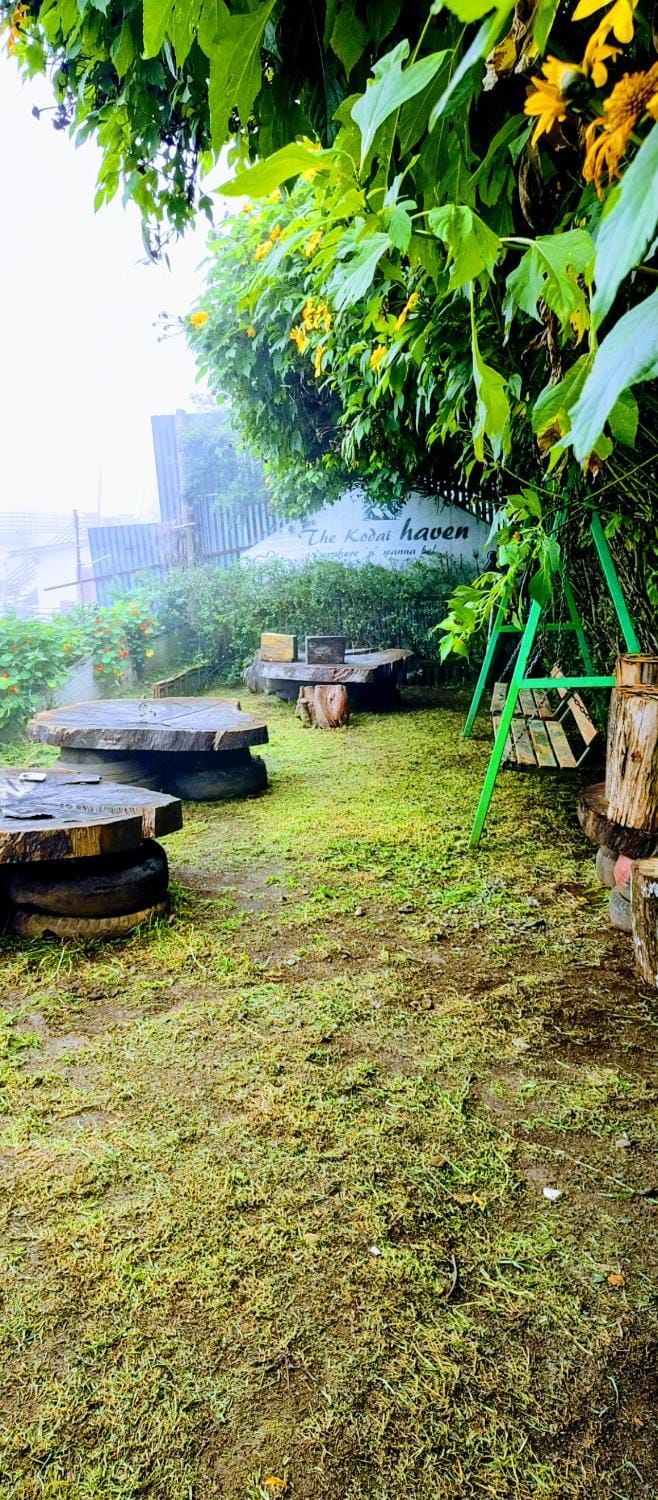 Garden, Garden, Garden view