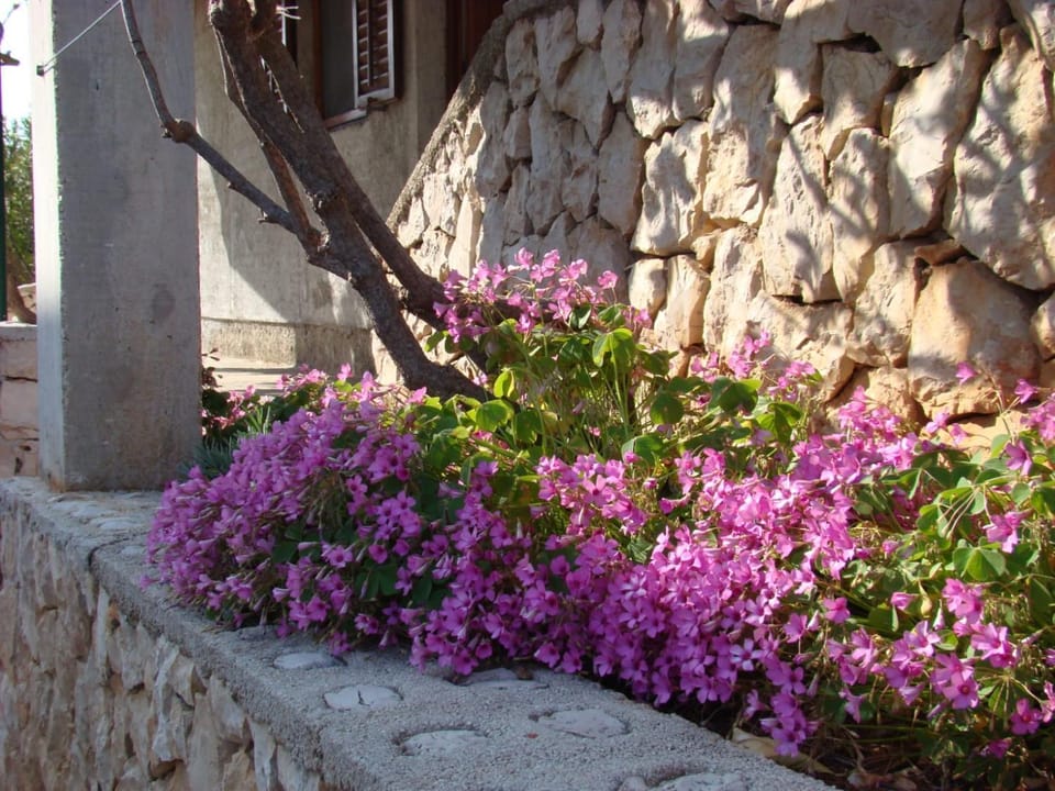 Apartment Puzak Apartment in Šibenik-Knin County, Croatia