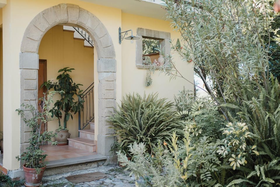 Property building, Spring, Day, Garden, Garden view