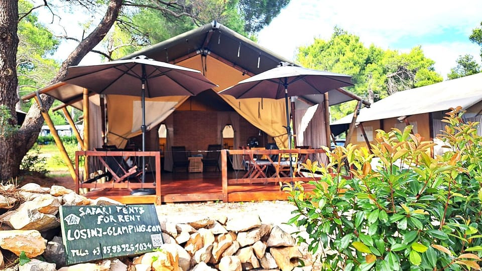 Property building, Garden, Garden view