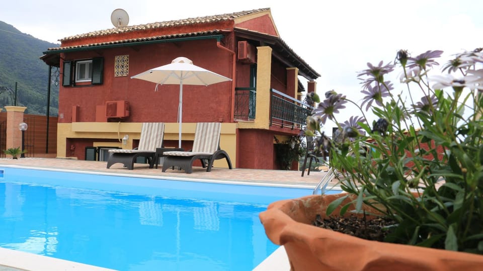 Decorative detail, Pool view, Swimming pool