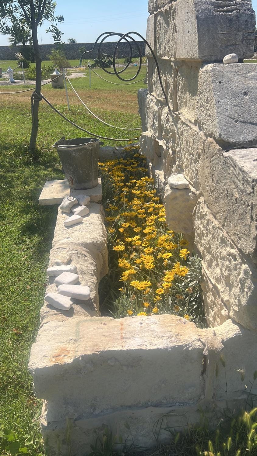 Masseria Gelsi Bed and Breakfast in Apulia