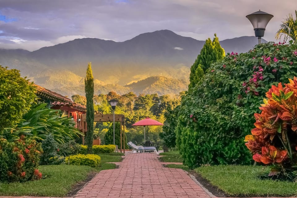 Garden, Garden view, Mountain view, Pool view, Sunset