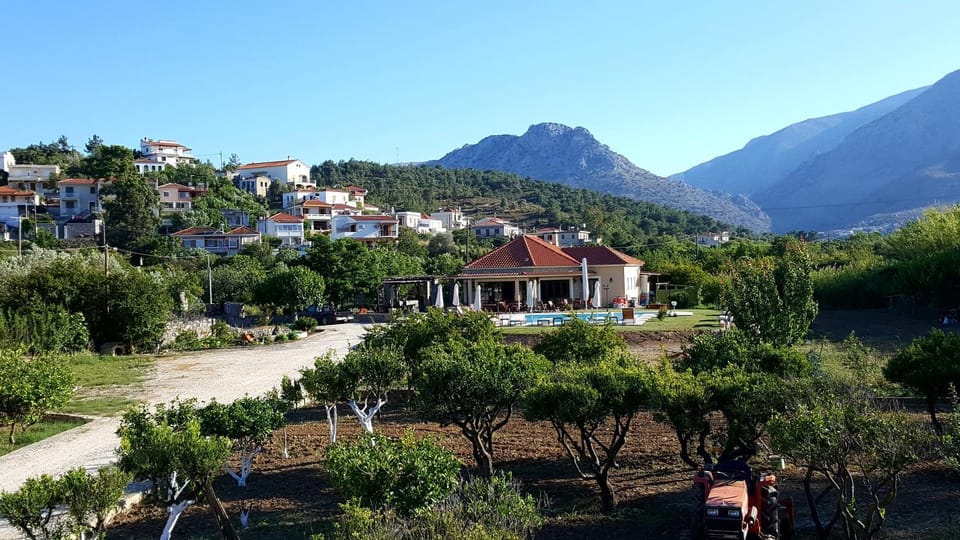 Patio, Restaurant/places to eat, Day, Garden, On site